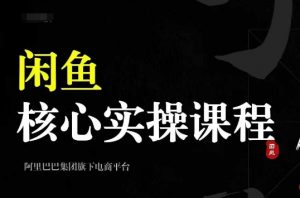 2024闲鱼核心实操课程,从养号、选品、发布、销售,教你做一个出单的闲鱼号-铭创资源库
