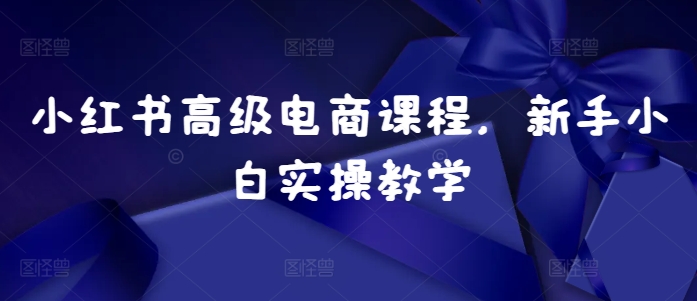 小红书高级电商课程，新手小白实操教学-铭创资源库