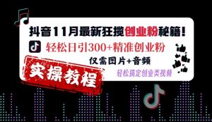 抖音11月最新狂揽创业粉秘籍，轻松日引300+精准创业粉，仅需图片+音频，轻松搞定创业类视频-铭创资源库