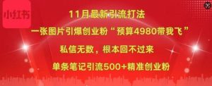 小红书11月最新图片打粉，一张图片引爆创业粉，“预算4980带我飞”，单条引流500+精准创业粉-铭创资源库