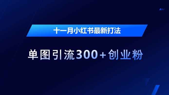 十一月小红书最新打法，单图引流300+创业粉【揭秘】-铭创资源库