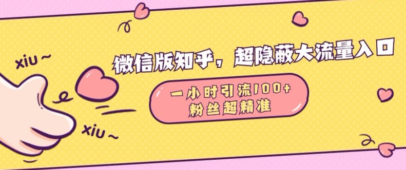微信版知乎，超隐蔽流量入口1小时引流100人，粉丝质量超高【揭秘】-铭创资源库