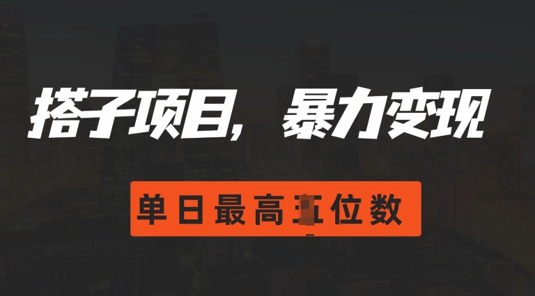 2024搭子玩法，0门槛，暴力变现，单日最高破四位数【揭秘】-铭创资源库