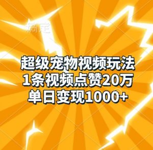 超级宠物视频玩法，1条视频点赞20万，单日变现1k-铭创资源库