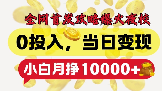 全网首发爆火夜校，0投入，当日变现，小白轻松月入1w+【揭秘】-铭创资源库