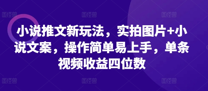 小说推文新玩法，实拍图片+小说文案，操作简单易上手，单条视频收益四位数-铭创资源库