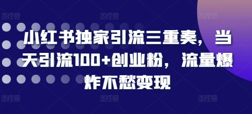 小红书独家引流三重奏，当天引流100+创业粉，流量爆炸不愁变现【揭秘】-铭创资源库