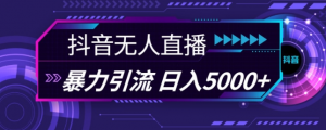 抖音快手视频号全平台通用无人直播引流法，利用图片模板和语音话术，暴力日引流100+创业粉【揭秘】-铭创资源库