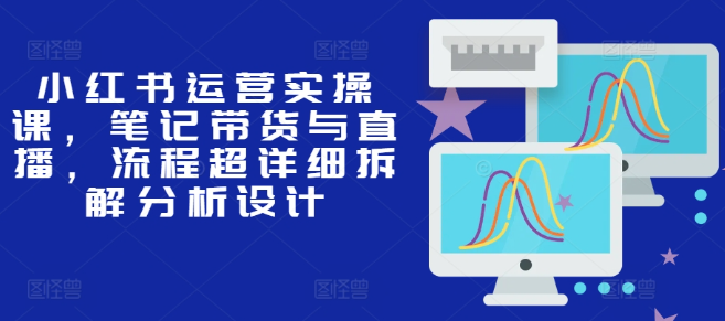 小红书运营实操课，笔记带货与直播，流程超详细拆解分析设计-铭创资源库