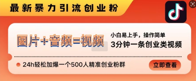 抖音最新暴力引流创业粉，3分钟一条创业类视频，24h轻松加爆一个500人精准创业粉群【揭秘】-铭创资源库