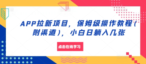 APP拉新项目，保姆级操作教程(附渠道)，小白日躺入几张【揭秘】-铭创资源库