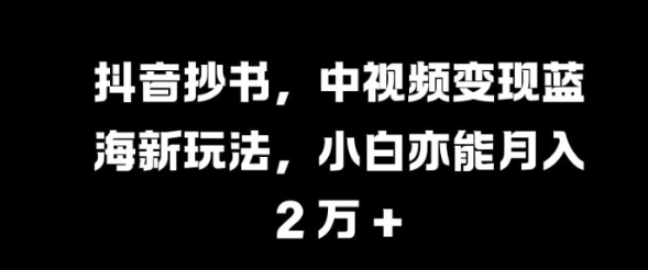 抖音抄书，中视频变现蓝海新玩法，小白亦能月入 过W【揭秘】-铭创资源库
