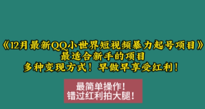 12月最新QQ小世界短视频暴力起号项目，最适合新手的项目，多种变现方式-铭创资源库