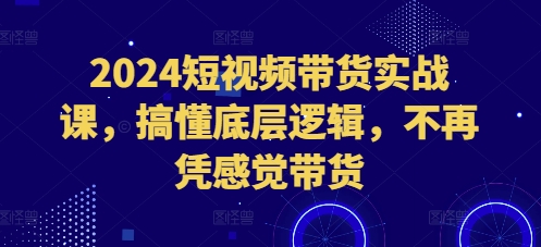 2024短视频带货实战课，搞懂底层逻辑，不再凭感觉带货-铭创资源库