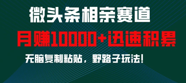 微头条相亲赛道，迅速积累，无脑复制粘贴，野路子玩法，月入1w-铭创资源库
