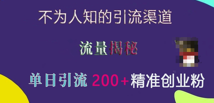 不为人知的引流渠道，流量揭秘，实测单日引流200+精准创业粉【揭秘】-铭创资源库