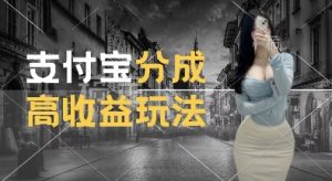 支付宝分成计划新玩法，利用交通事故视频，赚收益，轻松月入过W，操作简单【揭秘】-铭创资源库