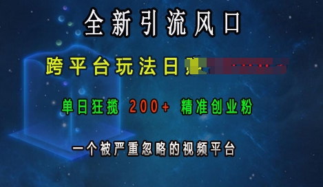 全新引流风口，跨平台玩法日入上k，单日狂揽200+精准创业粉，一个被严重忽略的视频平台-铭创资源库