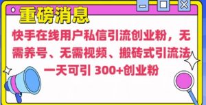 快手最新引流创业粉方法，无需养号、无需视频、搬砖式引流法【揭秘】-铭创资源库