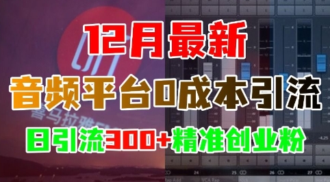 12月最新：音频平台0成本引流，日引流300+精准创业粉-铭创资源库