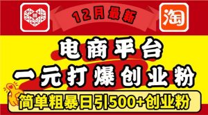 12月最新：电商平台1元打爆创业粉，简单粗暴日引500+精准创业粉，轻松月入过W【揭秘】-铭创资源库