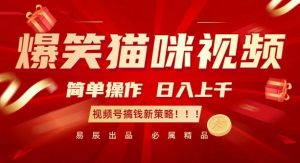 爆笑猫咪视频:简单操作,日入过K,视频号搞钱新策略【揭秘】-铭创资源库