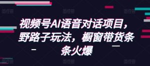视频号AI语音对话项目,野路子玩法,橱窗带货条条火爆-铭创资源库