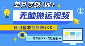无脑搬运视频号可批量复制,新手即可操作,日引精准创业粉300+,月变现过W 【揭秘】-铭创资源库