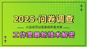 2025问卷调查最新工作室技术解密:一个人在家也可以闷声发大财,小白一天2张,可矩阵放大【揭秘】-铭创资源库