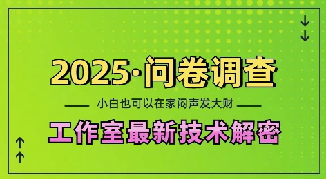 2025问卷调查最新工作室技术解密：一个人在家也可以闷声发大财，小白一天2张，可矩阵放大【揭秘】-铭创资源库