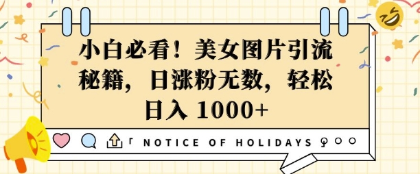 小白必看，美女图片引流秘籍，日涨粉无数，轻松日入几张【揭秘】-铭创资源库