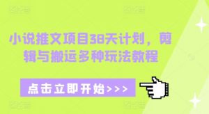 小说推文项目38天计划，剪辑与搬运多种玩法教程-铭创资源库