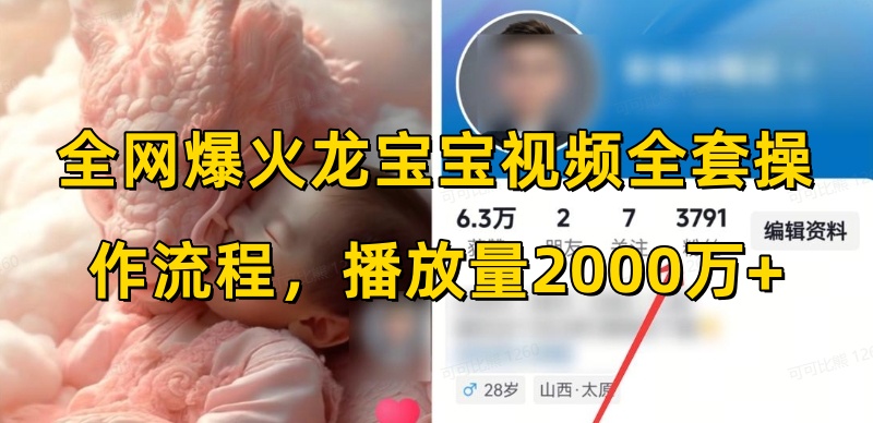 全网爆火龙宝宝视频全套操作流程，播放量2000万+-铭创资源库