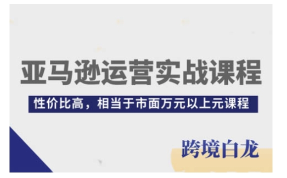 亚马逊运营实战课程，亚马逊从入门到精通，性价比高，相当于市面万元以上元课程-铭创资源库