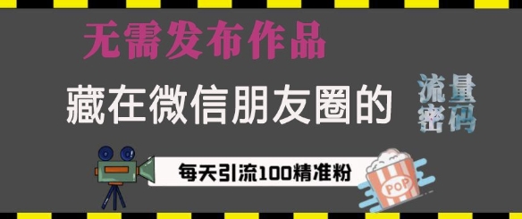 藏在微信朋友圈的流量密码，无需发布作品，单日引流100+精准创业粉【揭秘】-铭创资源库