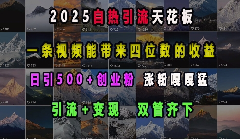 2025自热引流天花板，一条视频能带来四位数的收益，引流+变现双管齐下，日引500+创业粉，涨粉嘎嘎猛-铭创资源库