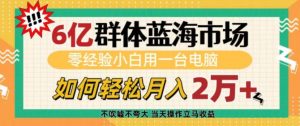 6亿群体蓝海市场，零经验小白用一台电脑，如何轻松月入过w【揭秘】-铭创资源库