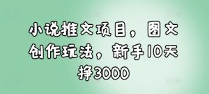 小说推文项目,图文创作玩法,新手10天挣3000-铭创资源库