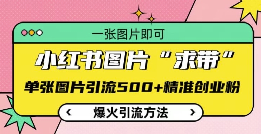 小红书图片‘求带’爆火引流法，单张图片引流500+精准创业粉【揭秘】-铭创资源库