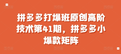 拼多多打爆班原创高阶技术第41期，拼多多小爆款矩阵-铭创资源库