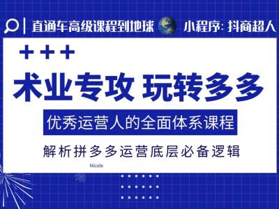 术业专攻玩转多多，优秀运营人的全面体系课程，解析拼多多运营底层必备逻辑-铭创资源库