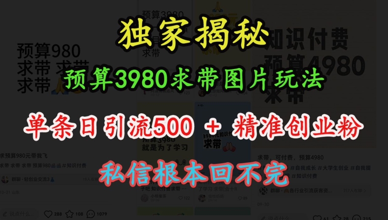 预算3980求带 图片玩法，单条日引流500+精准创业粉，私信根本回不完-铭创资源库
