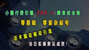 小额付费引爆 300 + 精准创业粉,零剪辑、零复杂起号,话术撬动被动引流,当日实操即见成效-铭创资源库