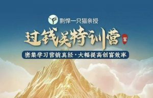 剽悍一只猫-过钱关特训营，学习营销真经 大幅度提高创富效率-铭创资源库