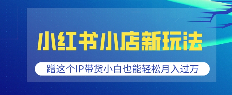 小红书小店新玩法，蹭这个IP带货，小白也能轻松月入过W【揭秘】-铭创资源库