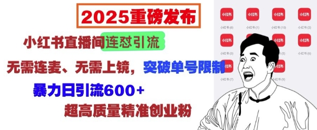 2025重磅发布：小红书直播间连怼引流，无需连麦、无需上镜，突破单号限制，暴力日引流600+-铭创资源库