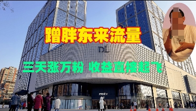 蹭胖东来流量，三天涨万粉，收益直接起飞-铭创资源库