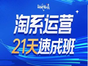 淘系运营21天速成班35期，年前最后一波和2025方向-铭创资源库