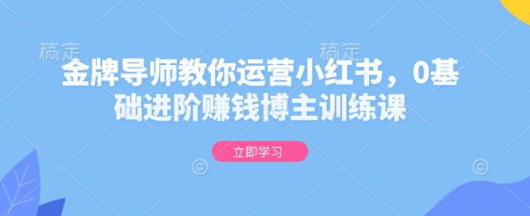 金牌导师教你运营小红书，0基础进阶赚钱博主训练课-铭创资源库