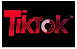 TikTok ads投流秘籍，涵盖tiktok整体投放思路，教你搭建测试计划-铭创资源库